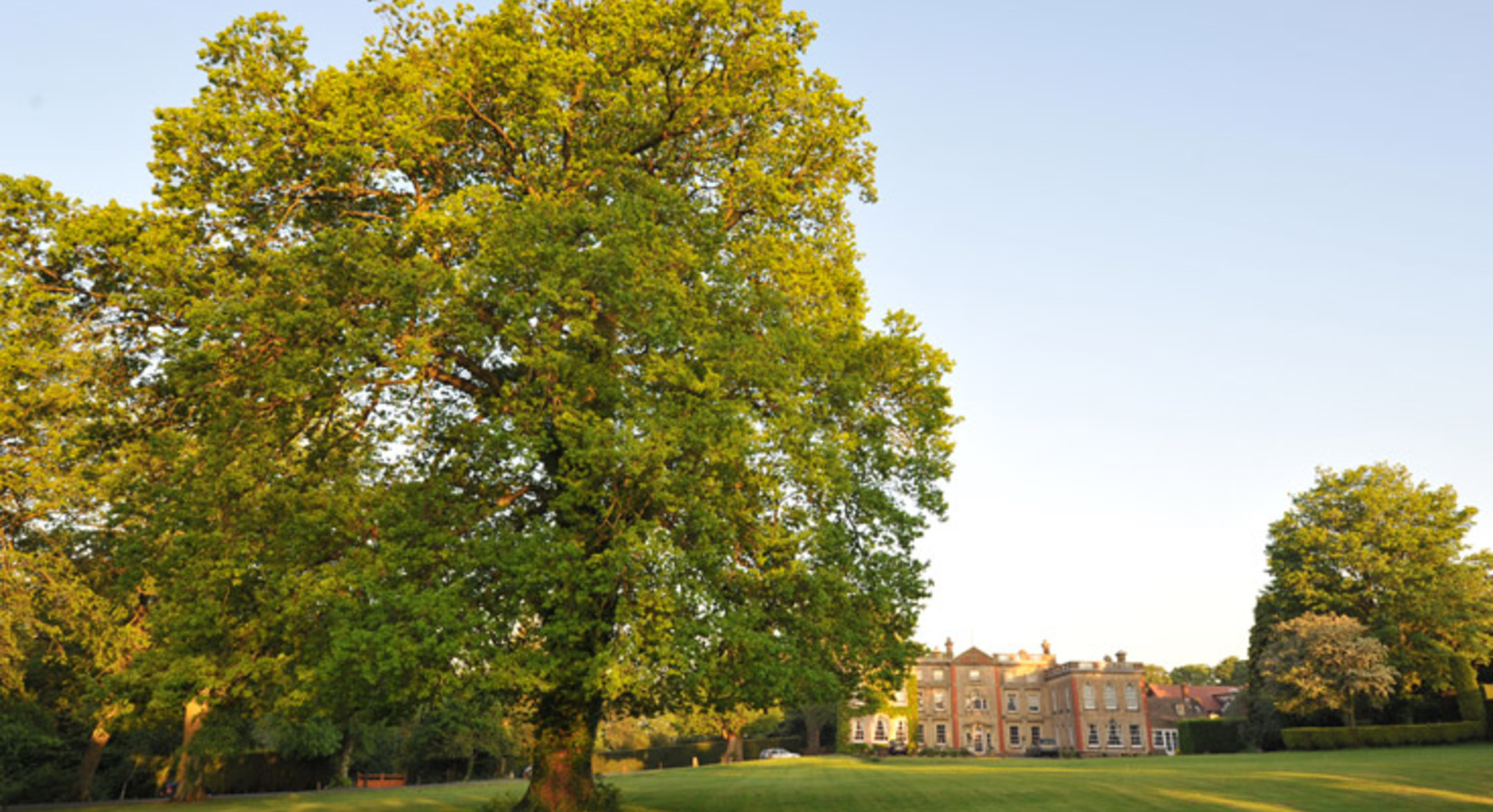 Photo of The Elms