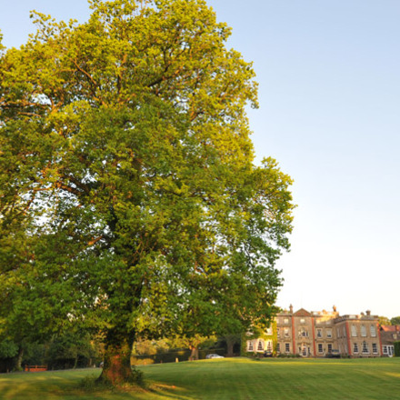 The Elms