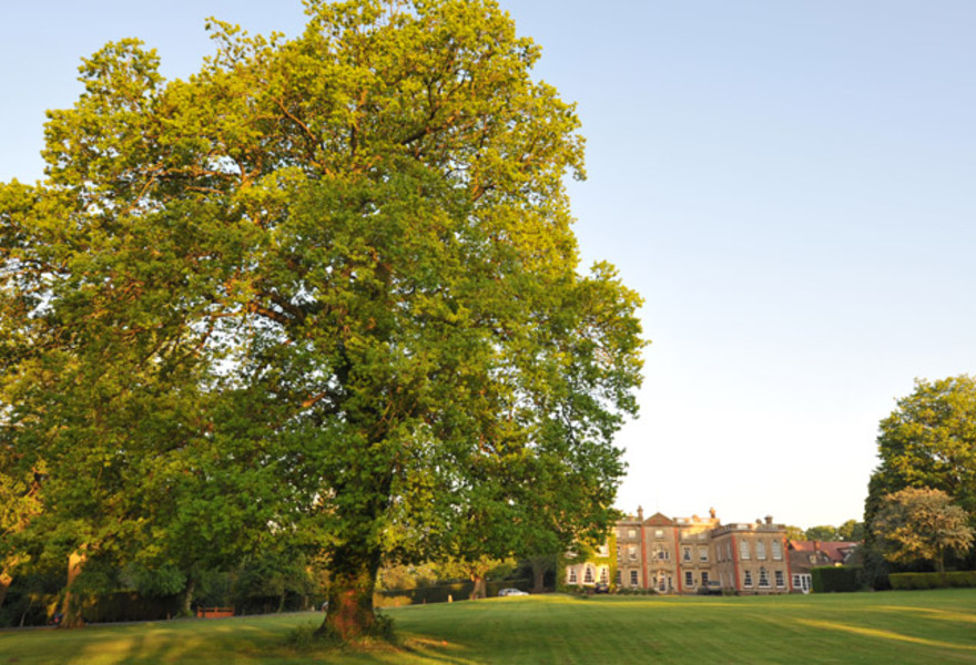 The Elms