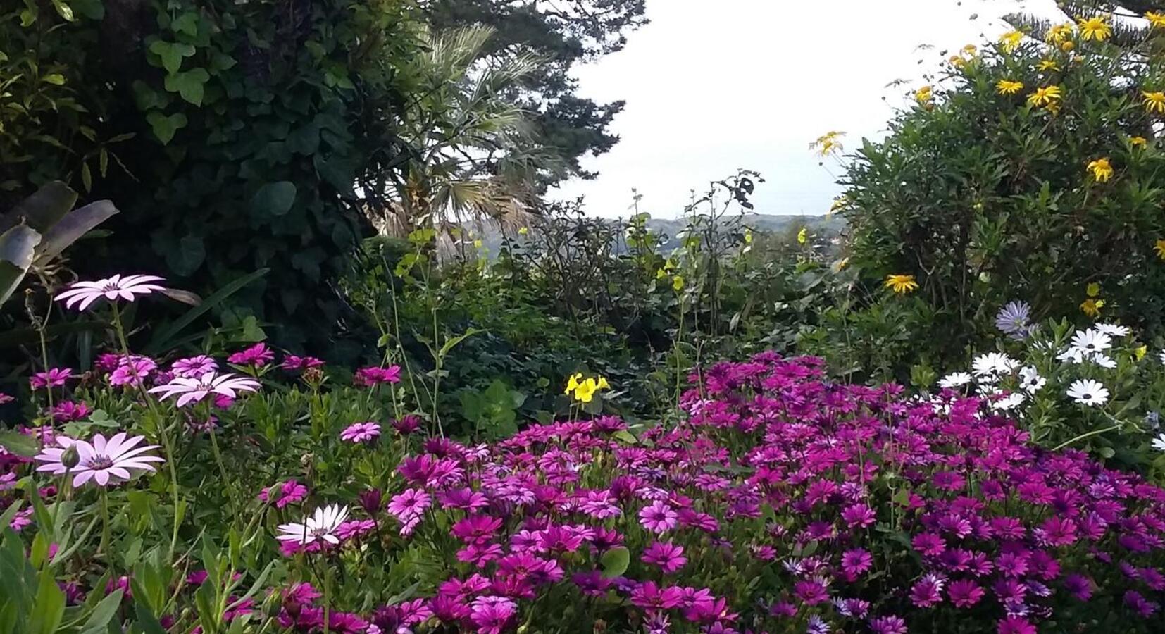 Garden detail