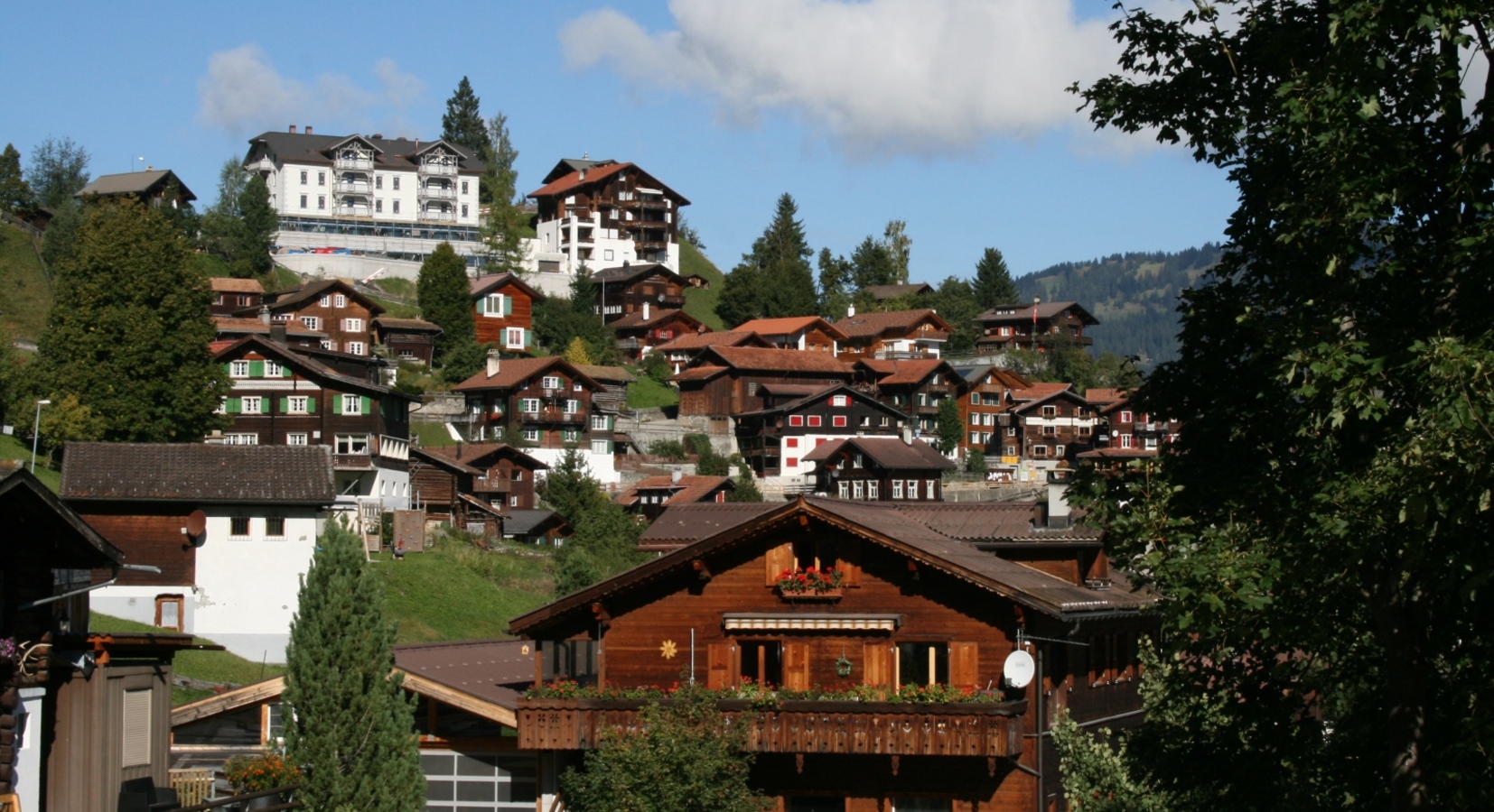 Village in summer 