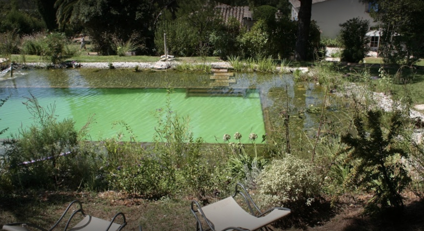 Natural Swimming Lake