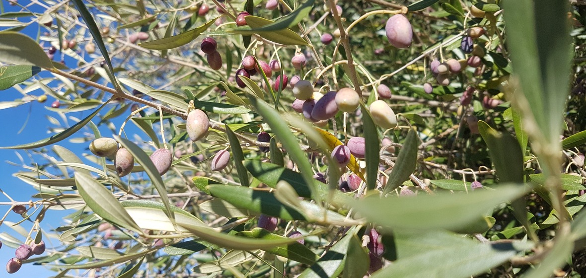 Photo of Extremadura