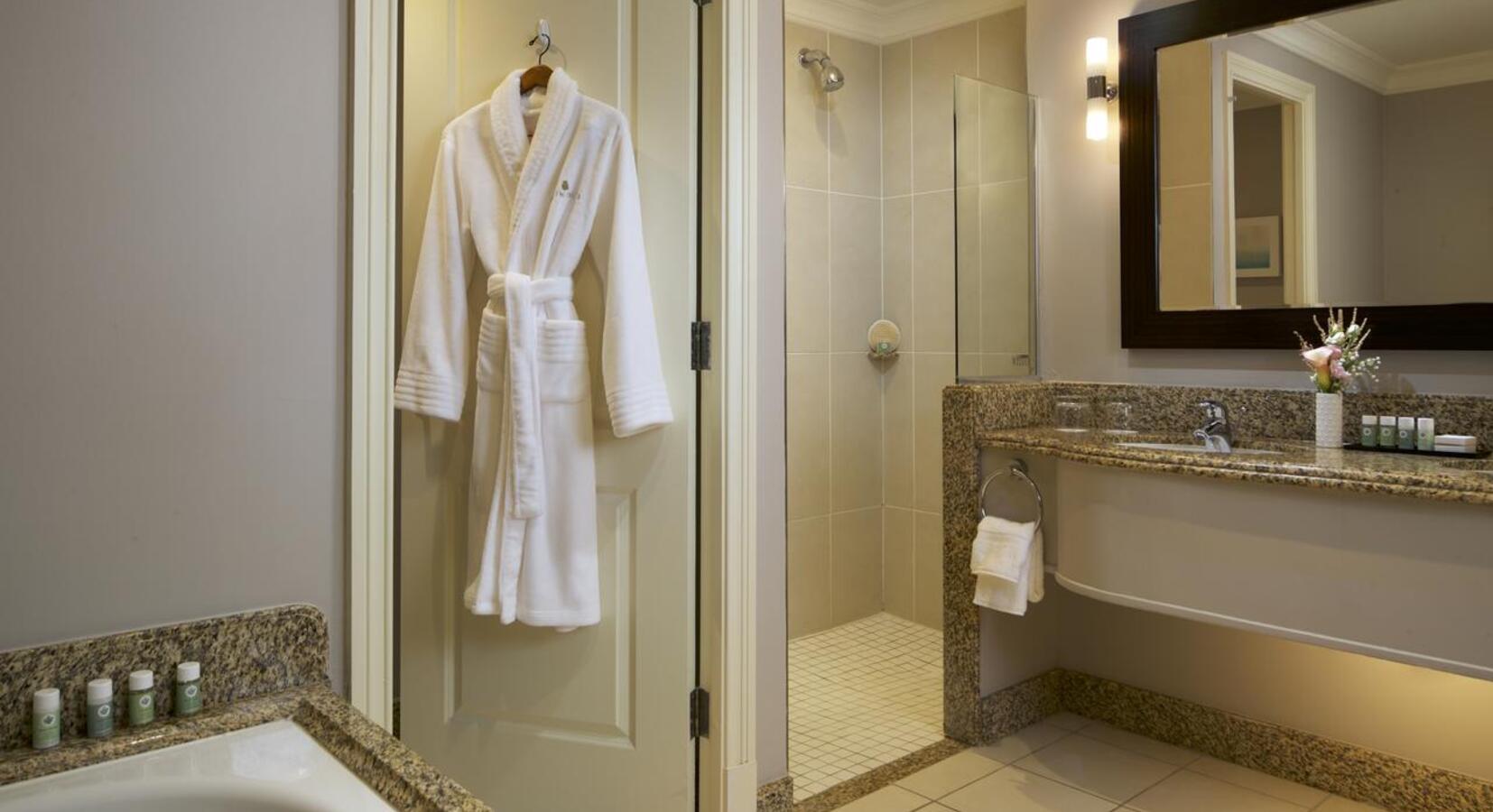 Executive room, bathroom