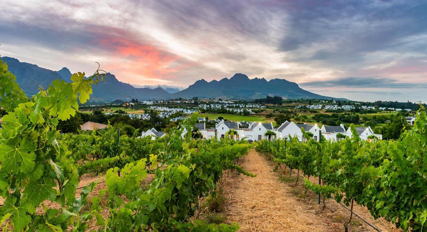 Foto von aha De Zalze Lodge