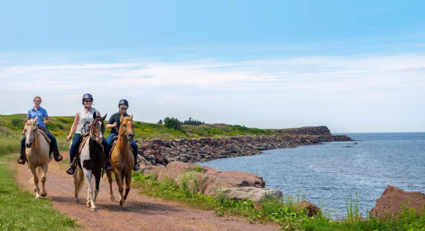 Horse Riding