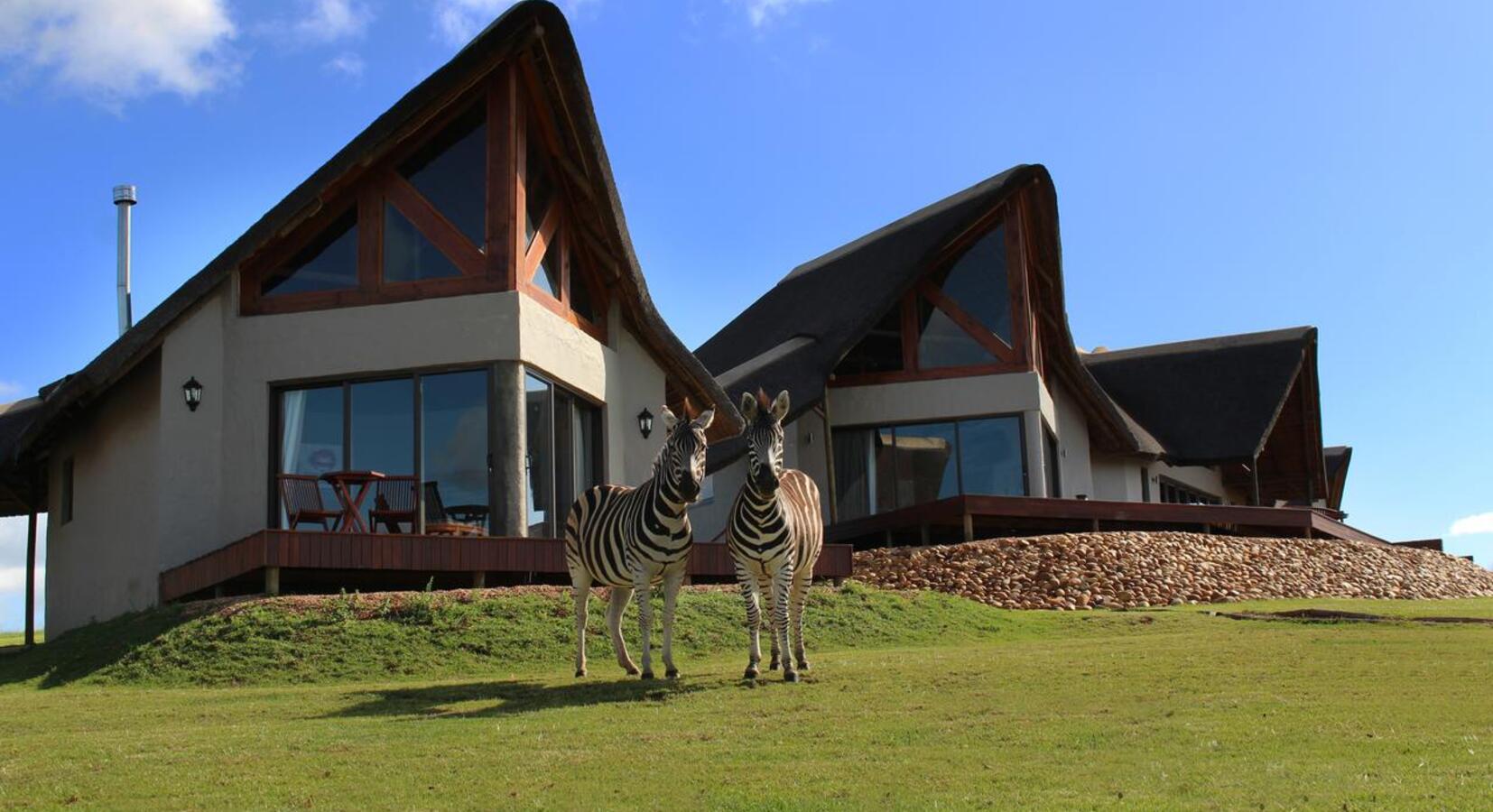 Photo de J-Bay Zebra Lodge 