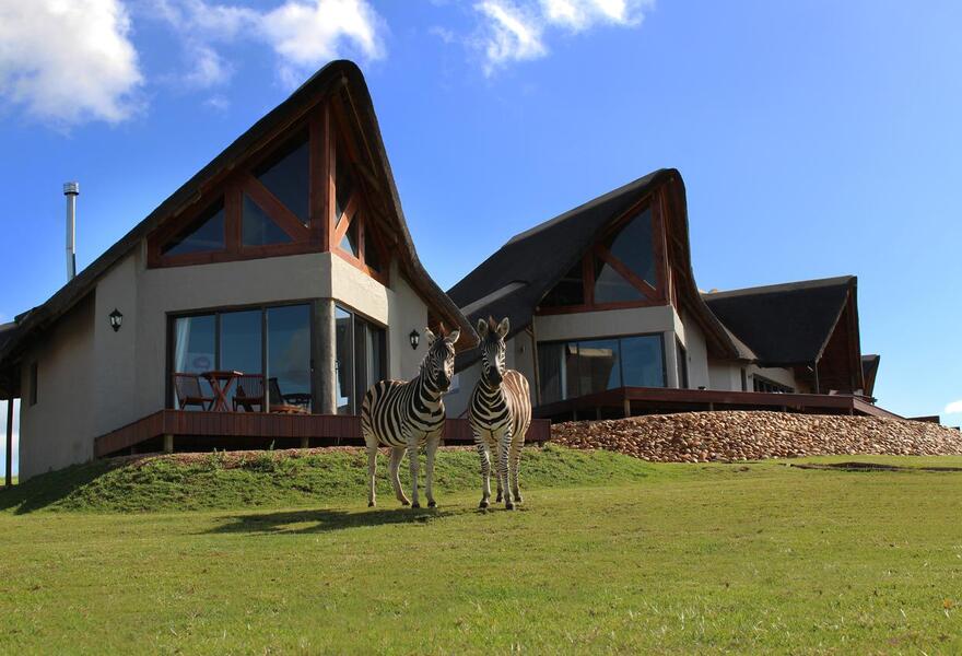 J-Bay Zebra Lodge 