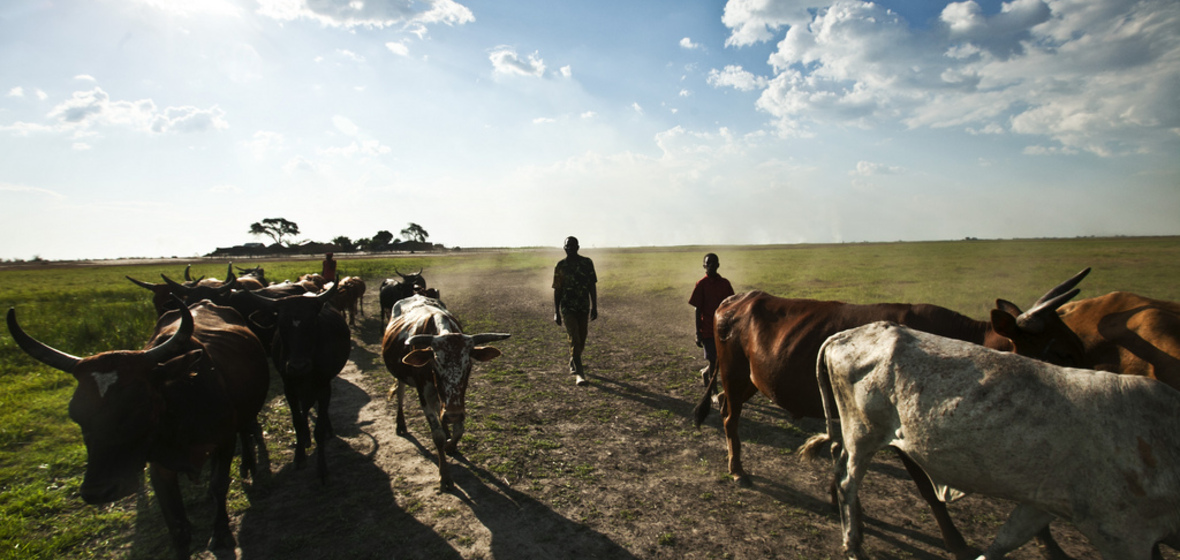 Photo of Zambia