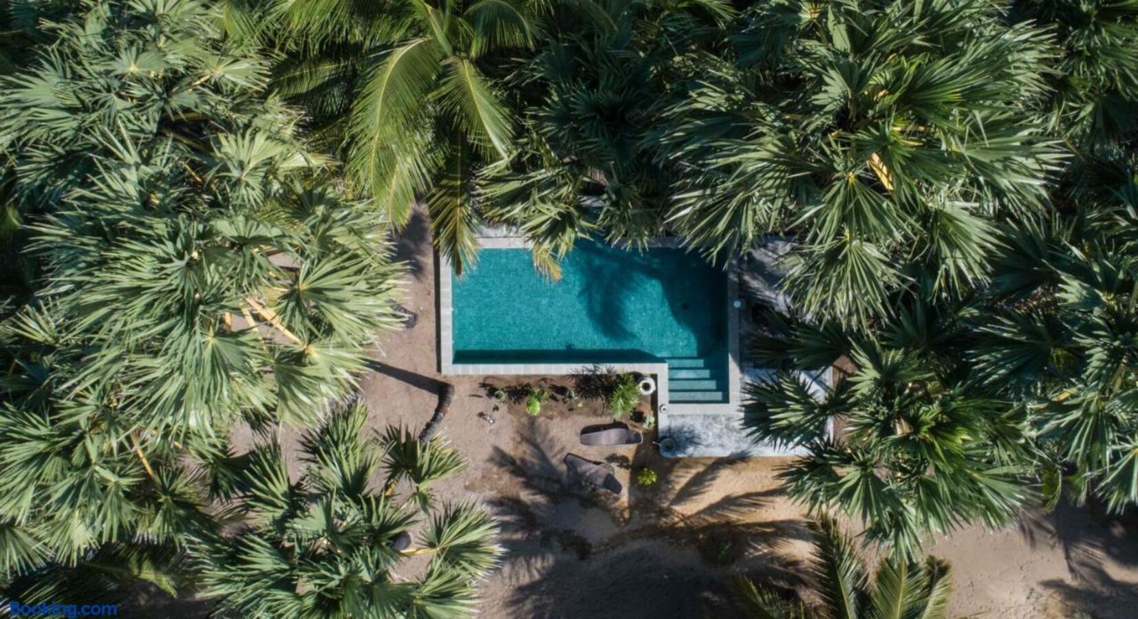 Aerial View of Swimming Pool