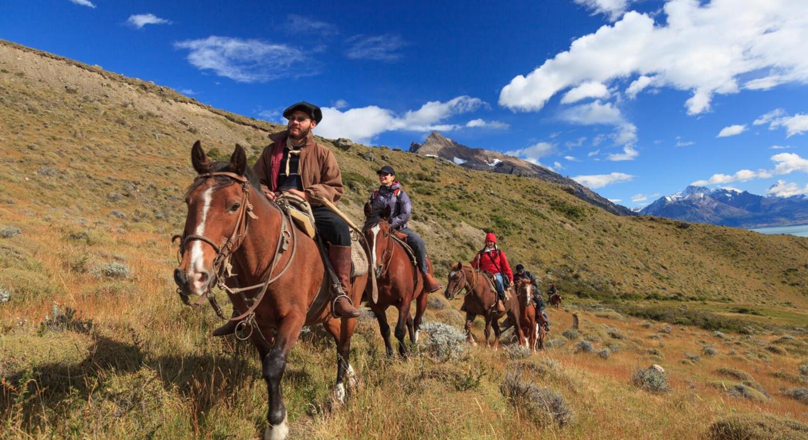 Horseriding excursion