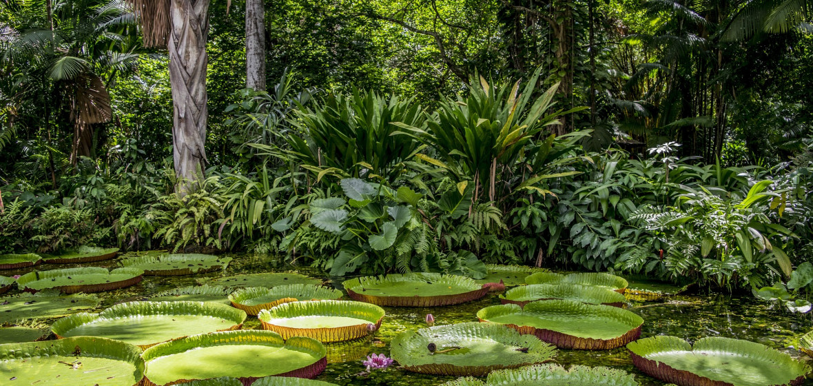 Foto von Brasilien