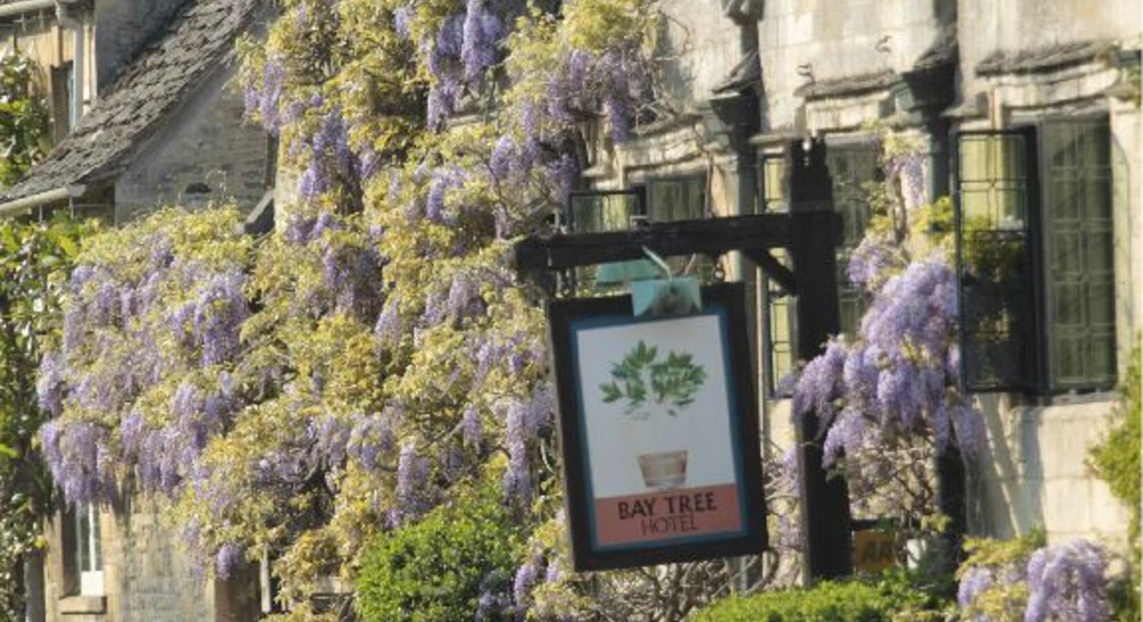 Wisteria clad exterior