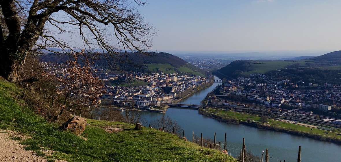 Photo de Rudesheim