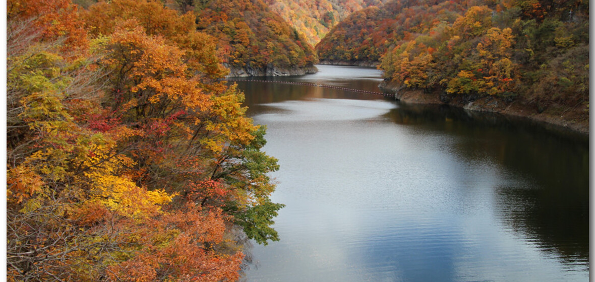 Photo of Nasu