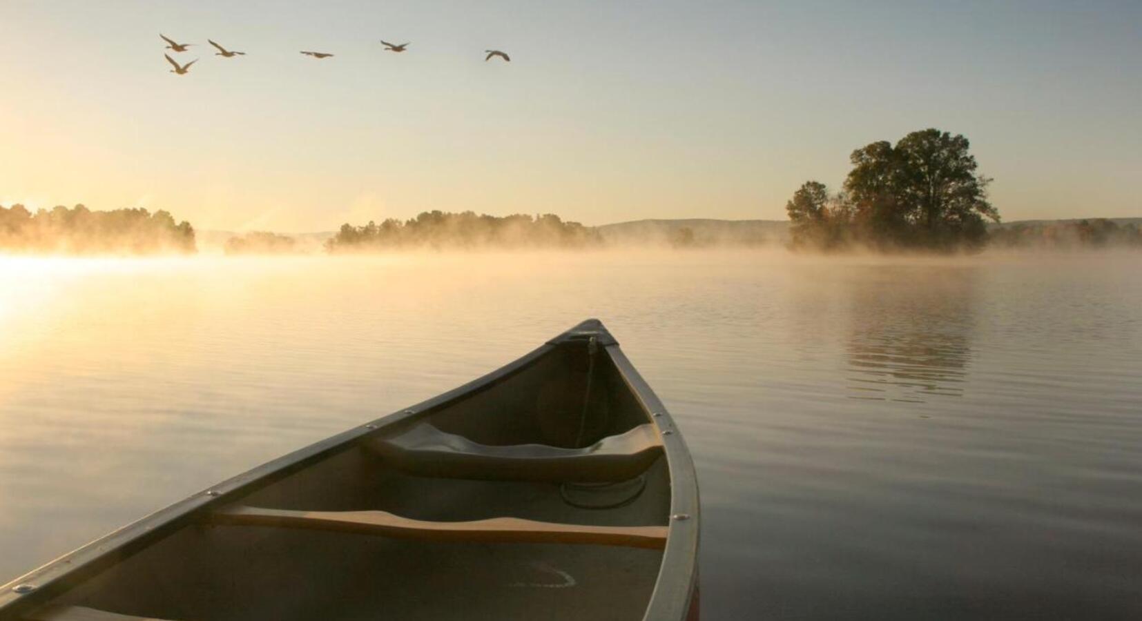 Boat Trips