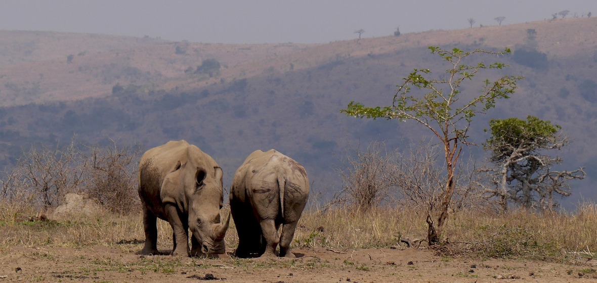 Photo of Hluhluwe