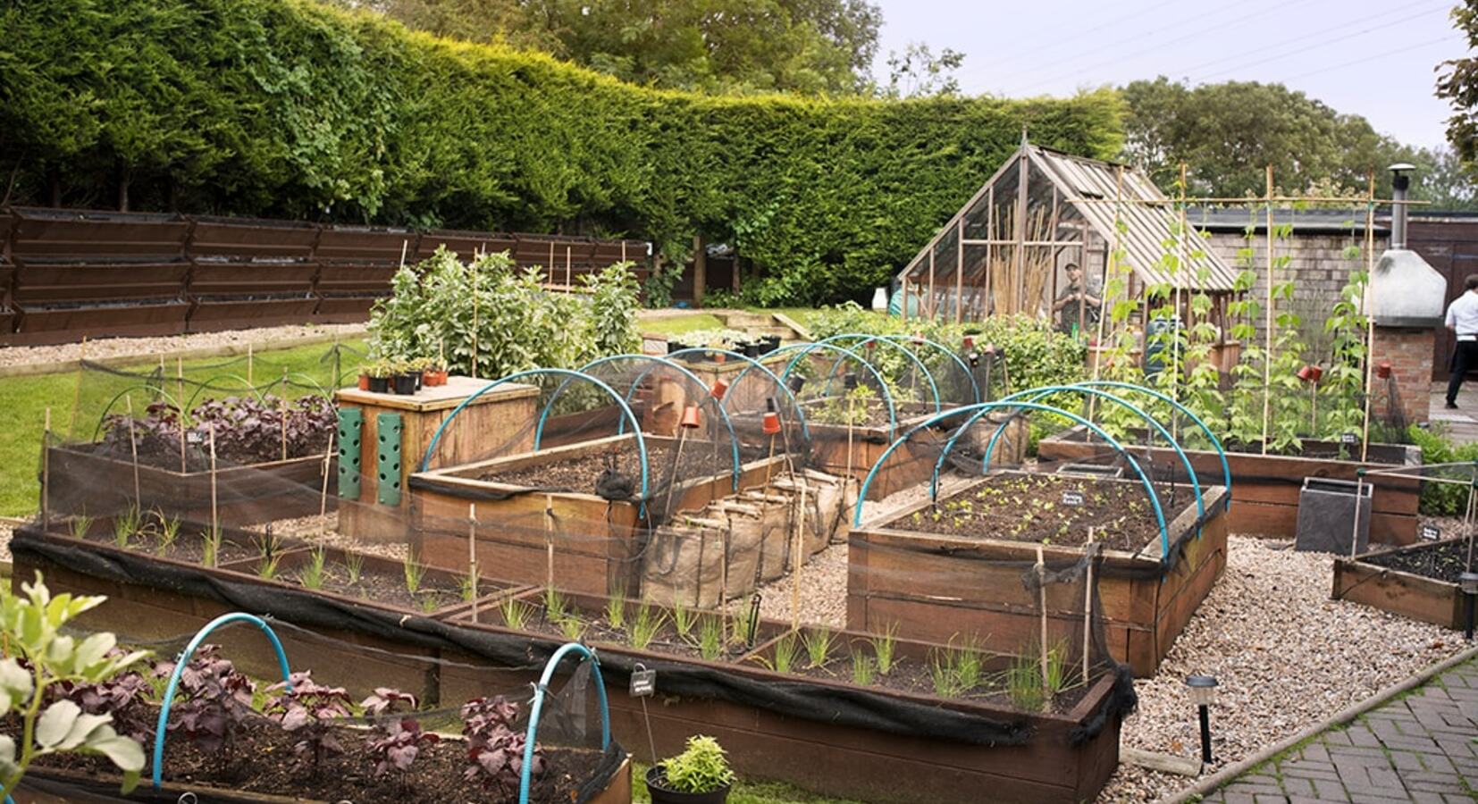 Kitchen Garden