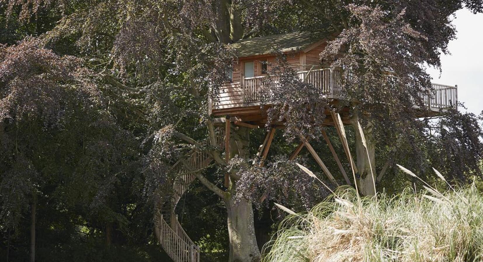 Treehouse