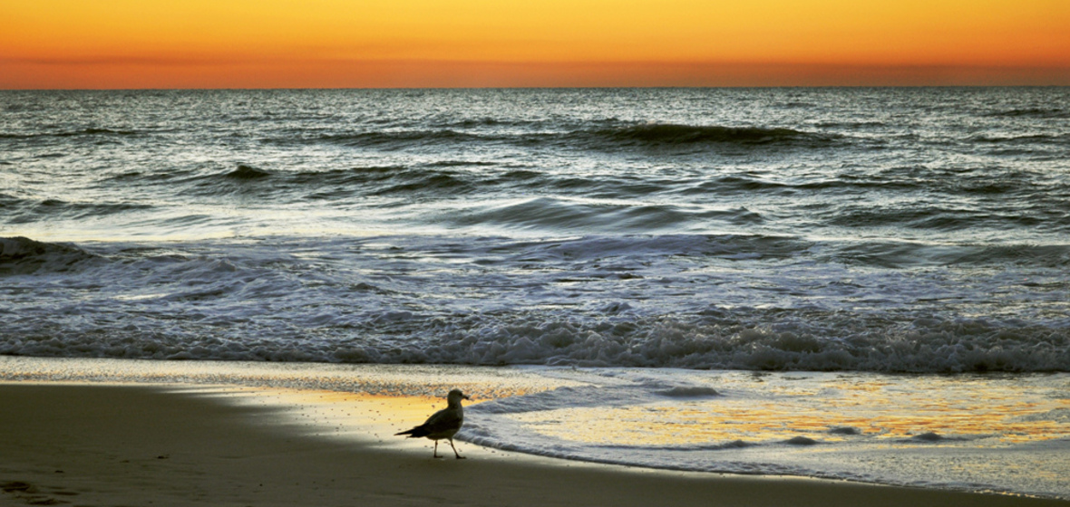 Photo of Naples, Florida