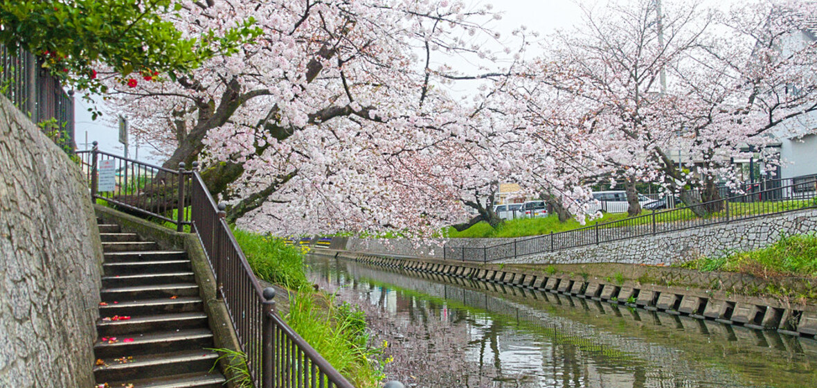 Beste Übernachtungsmöglichkeiten in Aichi, Japan | The Hotel Guru