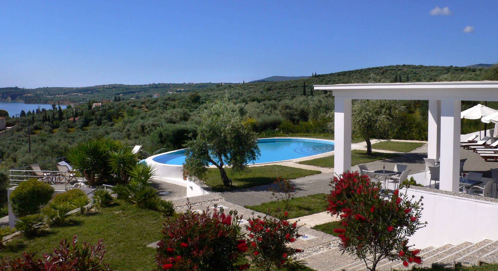 Pool and terrace