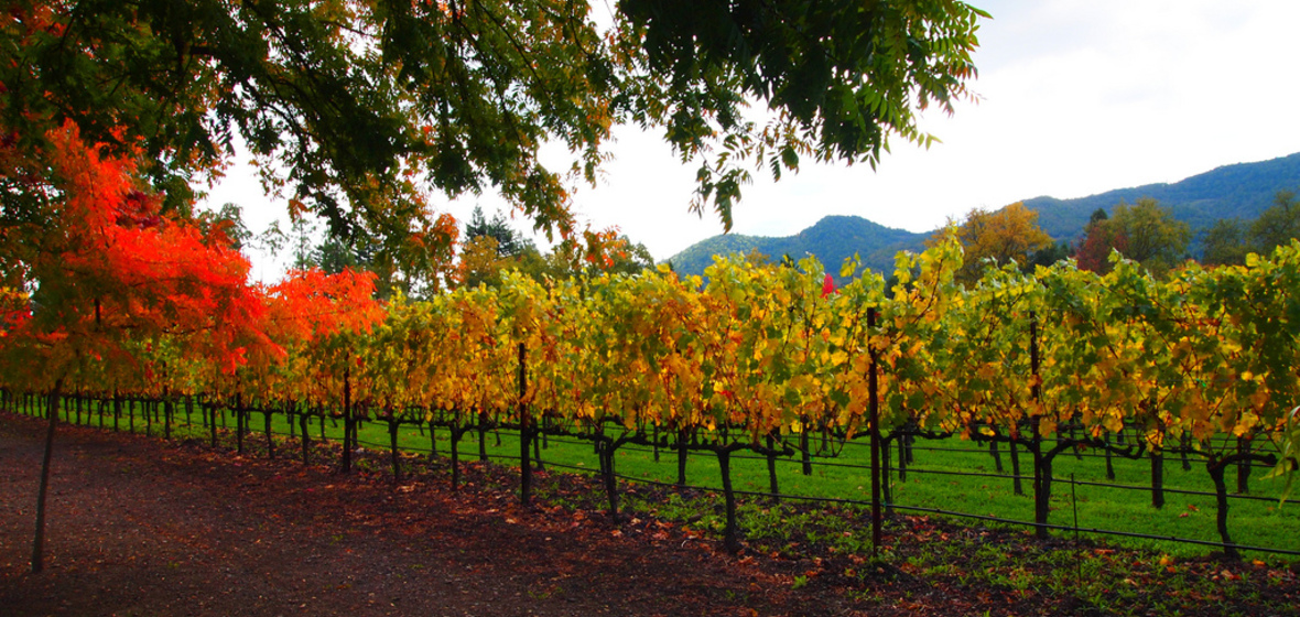 Foto von Yountville