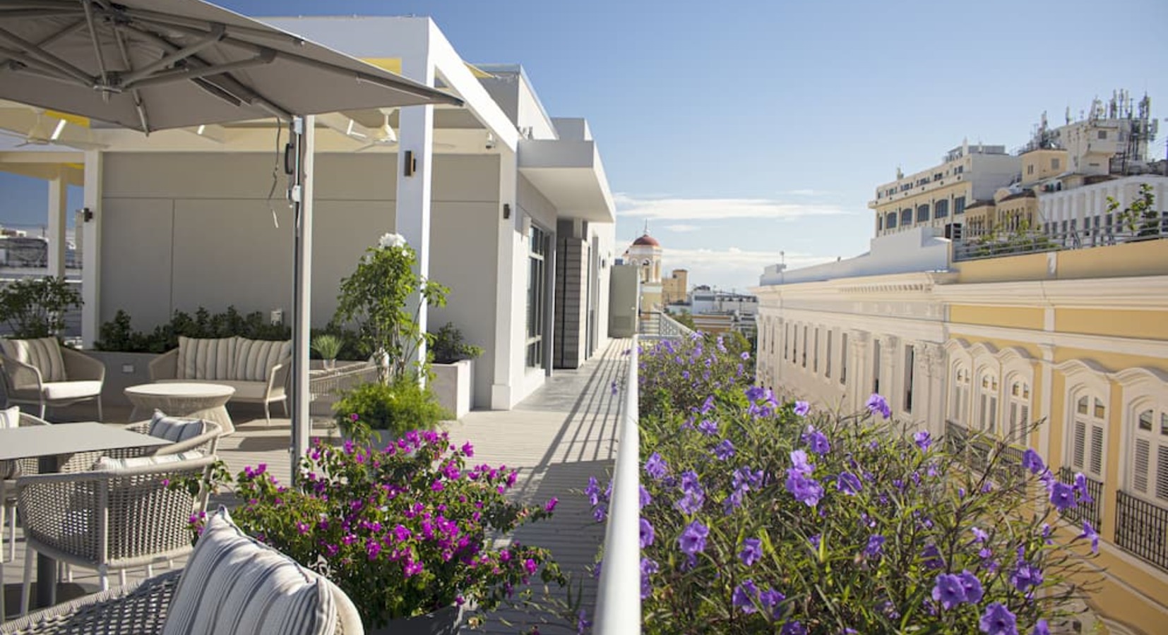 Roof Terrace