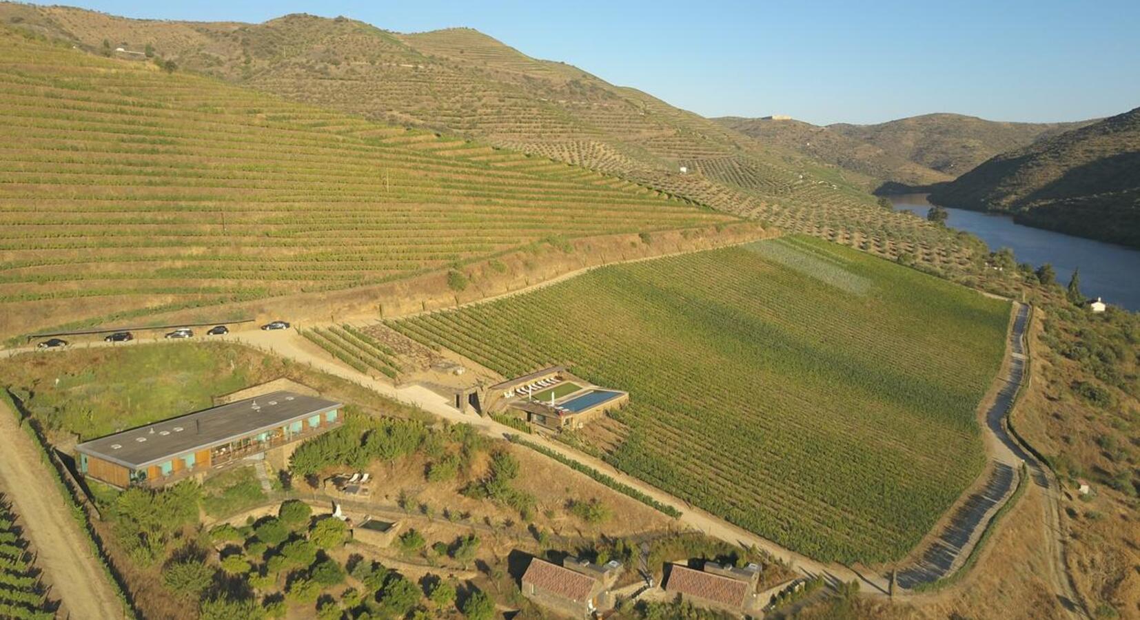 Set Amid Orange Groves and Sprawling Vineyards