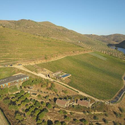 Set Amid Orange Groves and Sprawling Vineyards