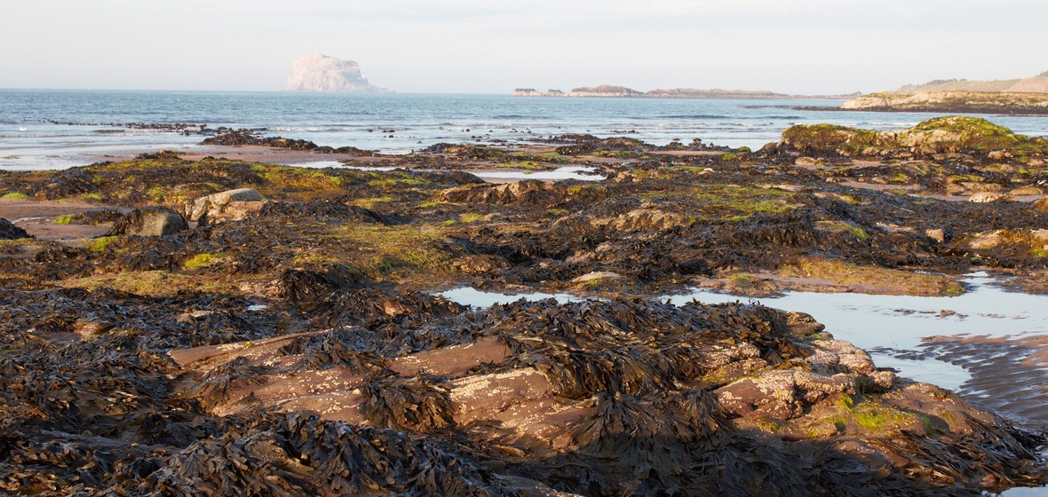 Photo de North Berwick