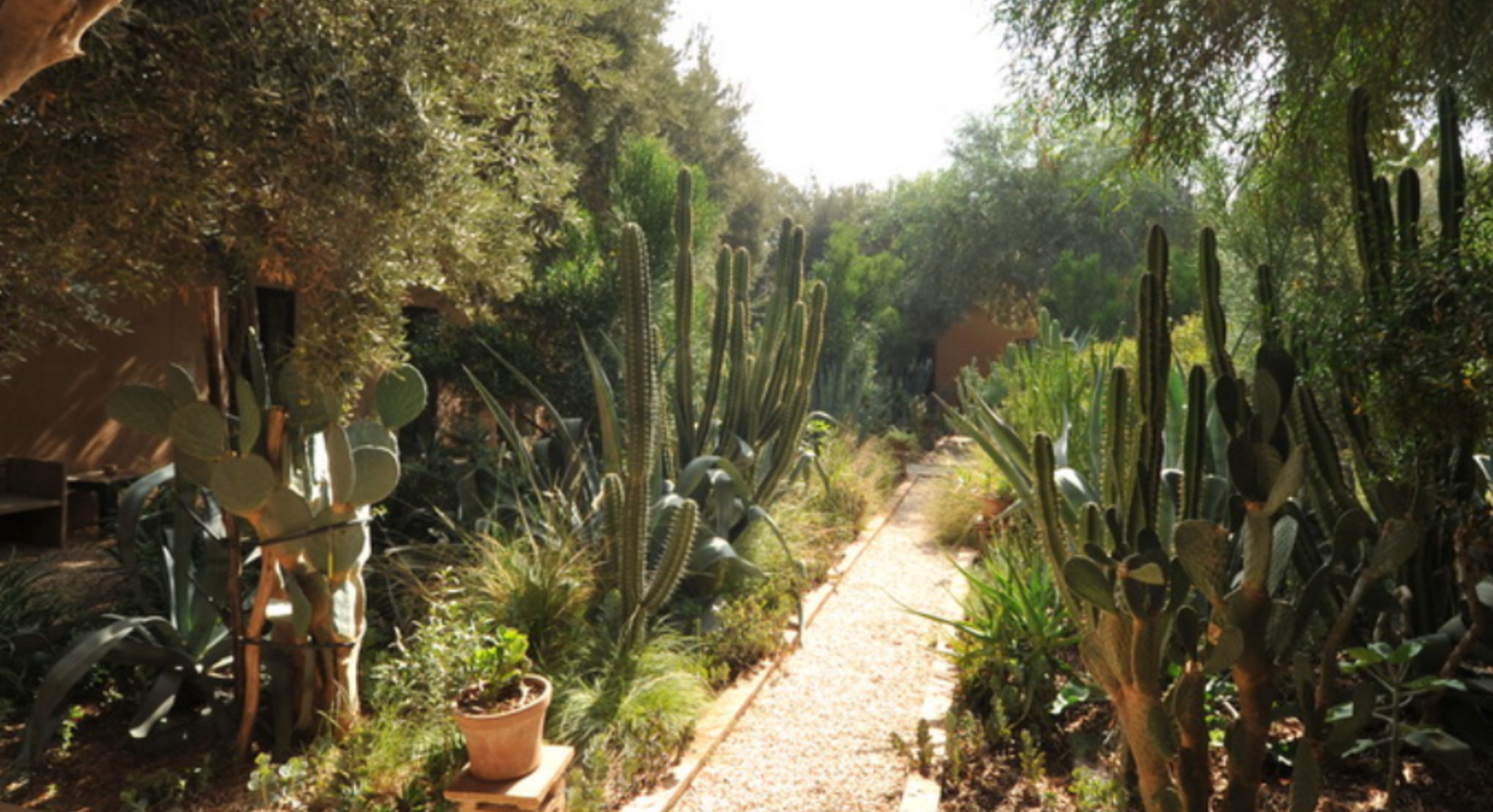 Garden detail