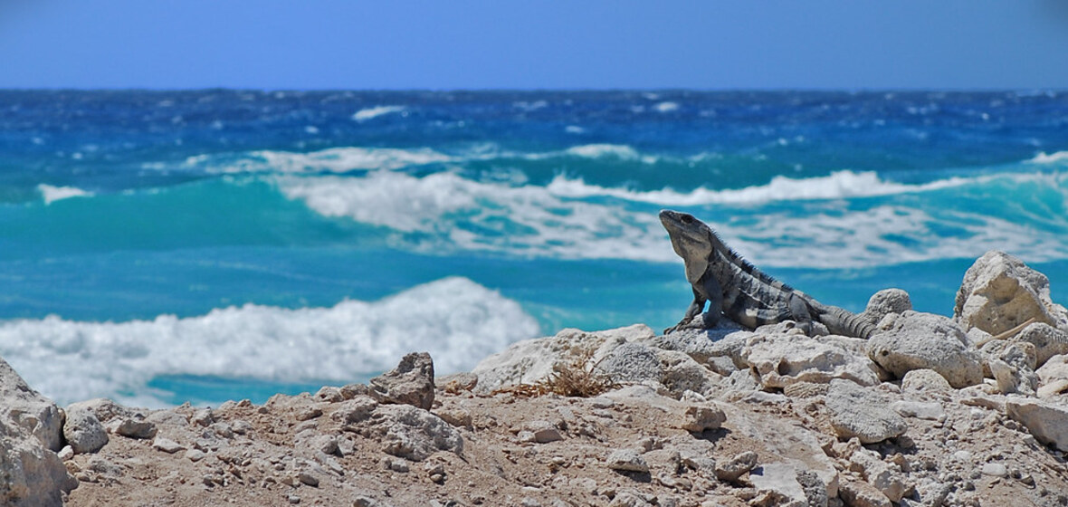 Photo de Cozumel