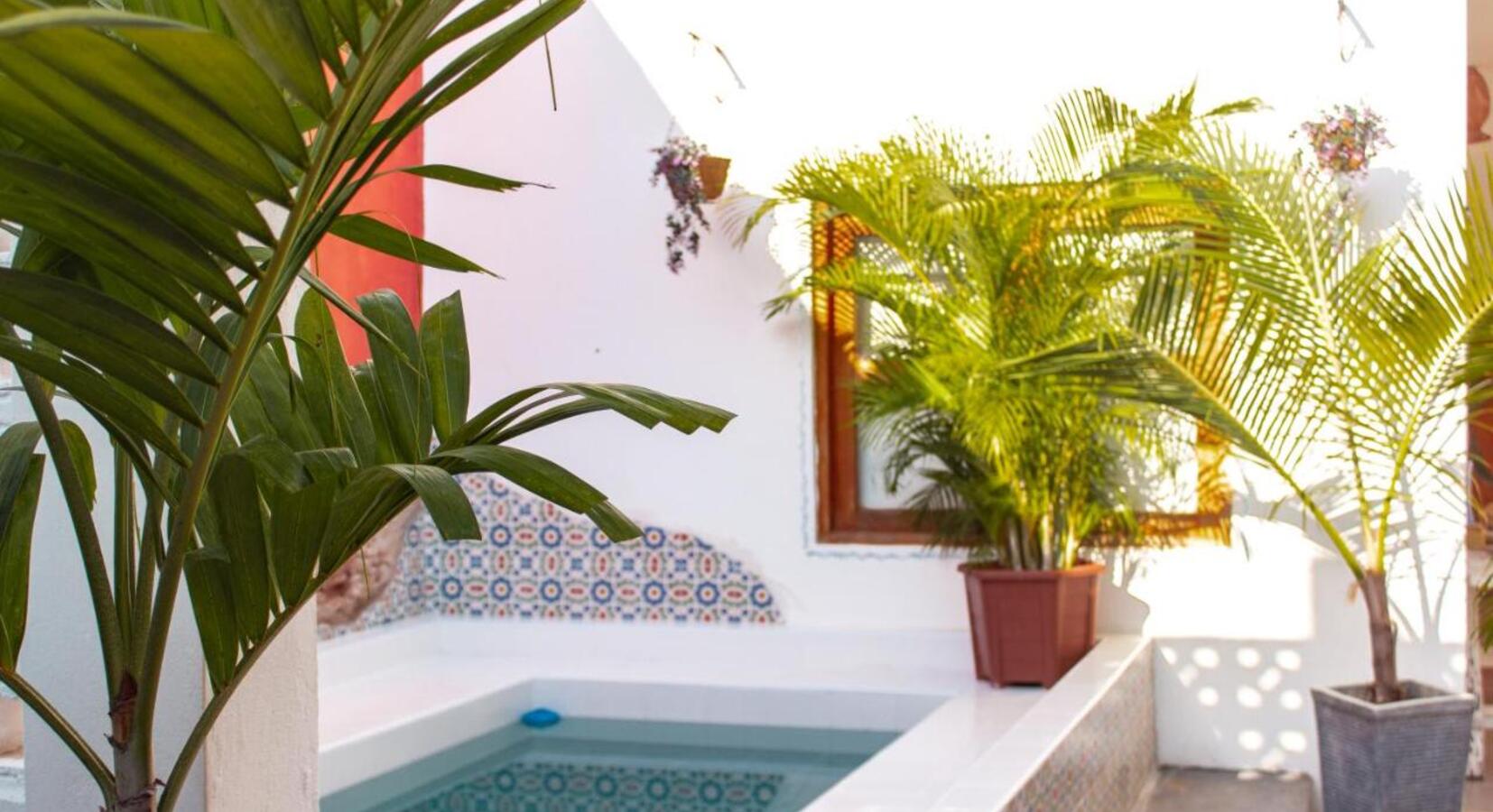 Courtyard Plunge Pool