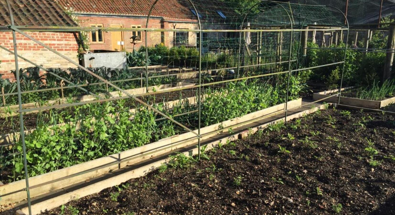 Kitchen Garden