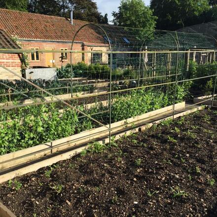 Kitchen Garden