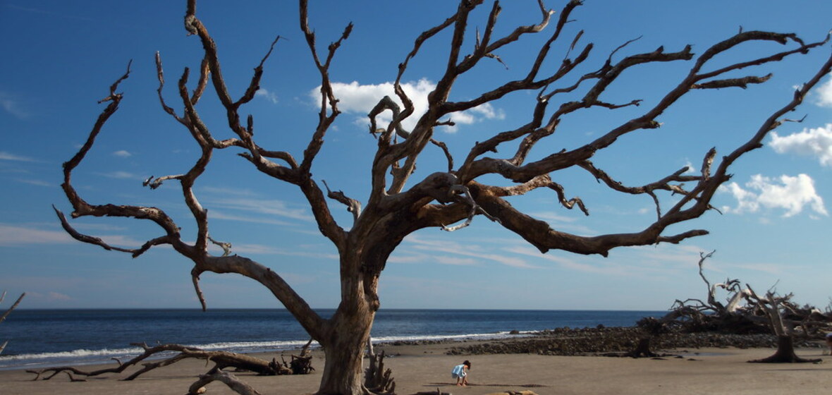 Photo de Île Jekyll