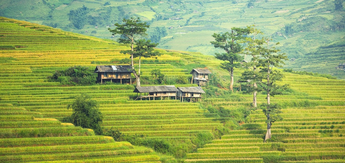 Photo of Sapa