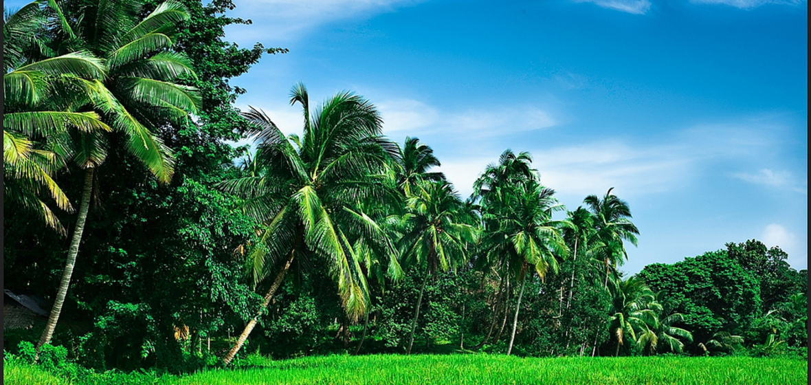 Photo of Andaman Islands