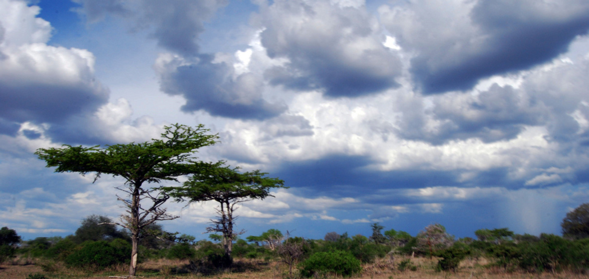 Photo of Tanzania