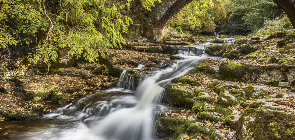 Photo de Yorkshire