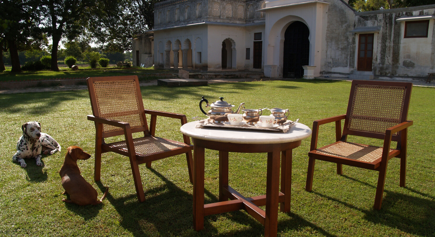 Dining in the garden