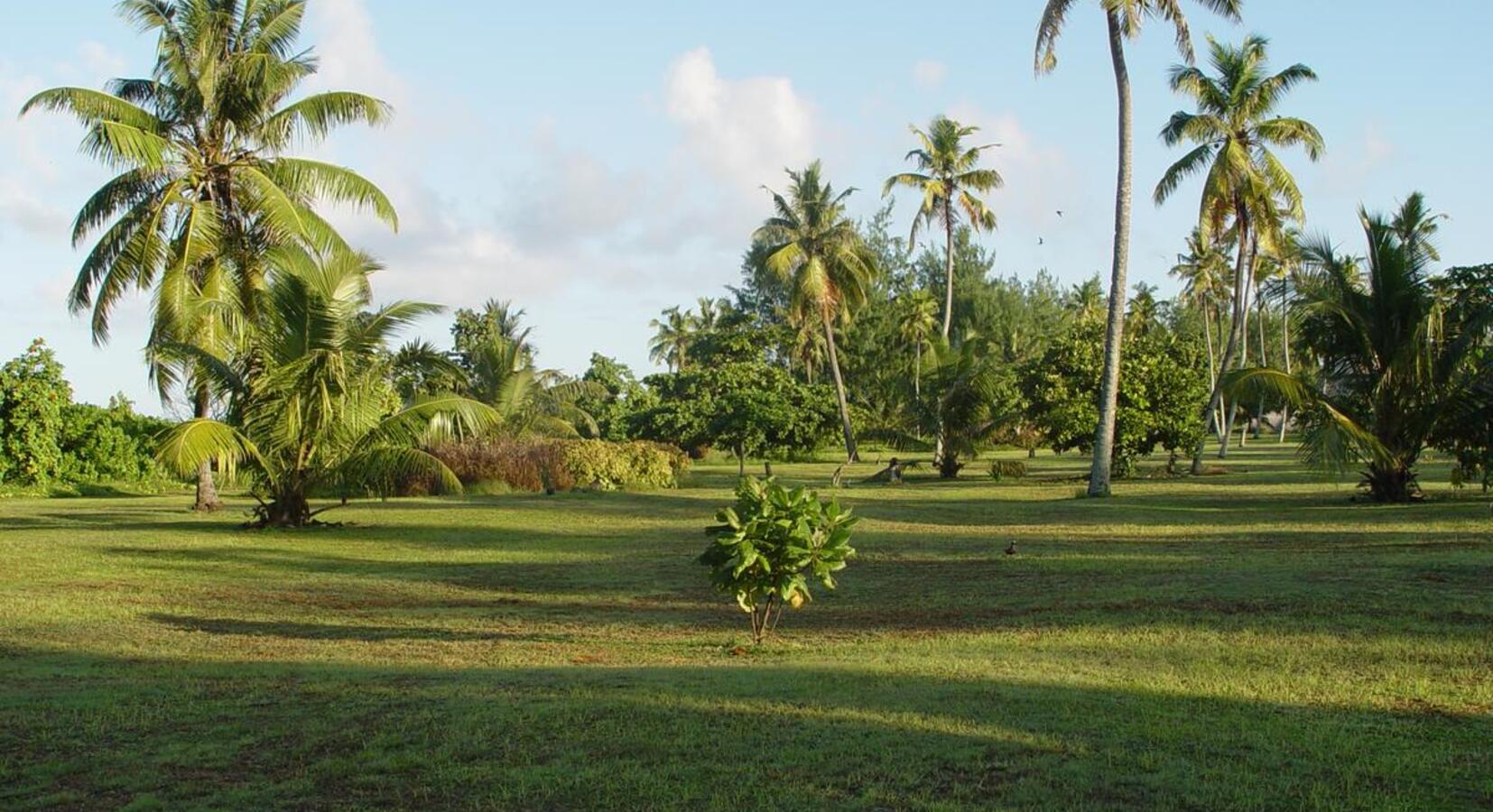 Hotel grounds