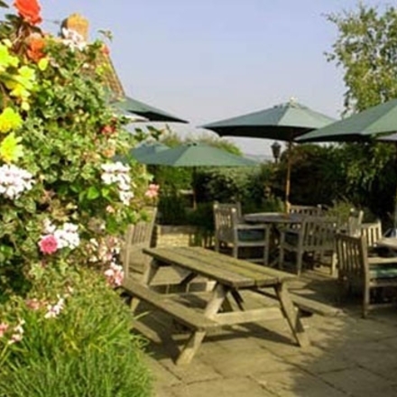 Courtyard Garden