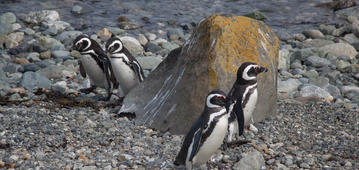 Foto von Punta Arenas