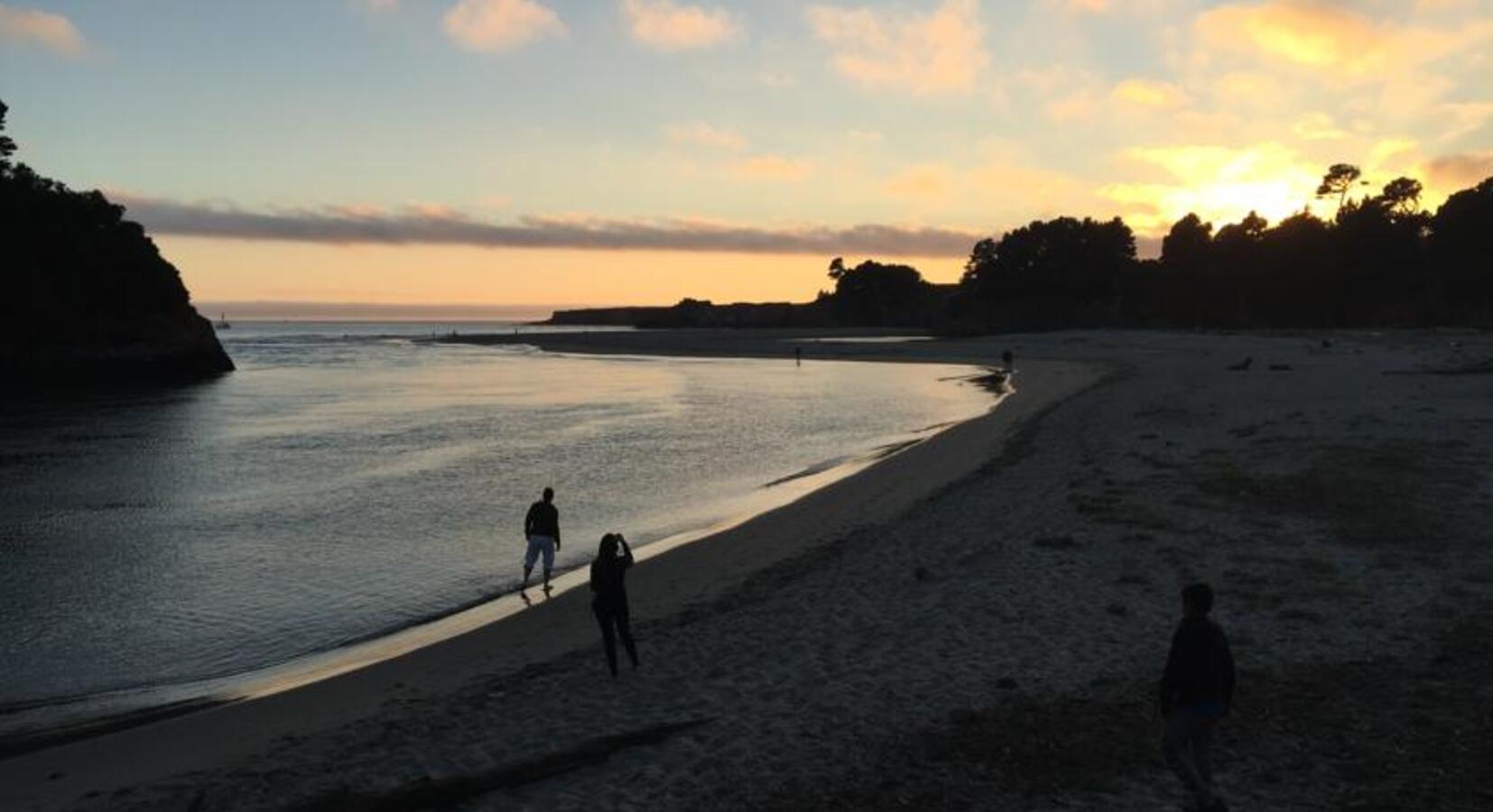 Local Beach 