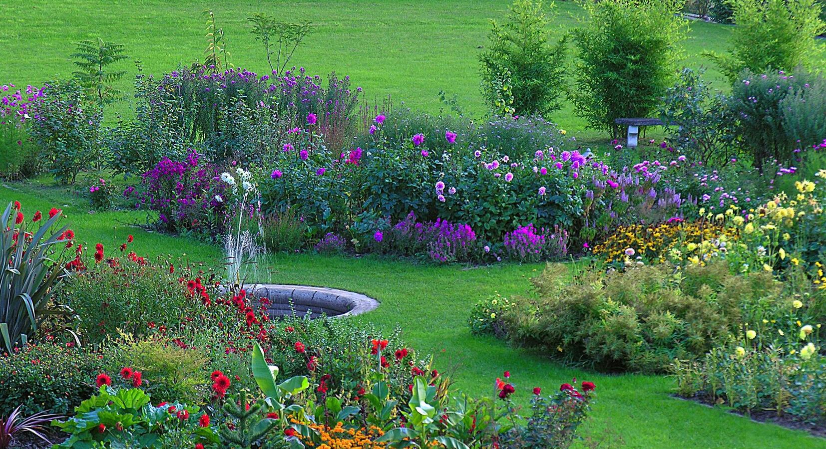 Flower garden in the evening