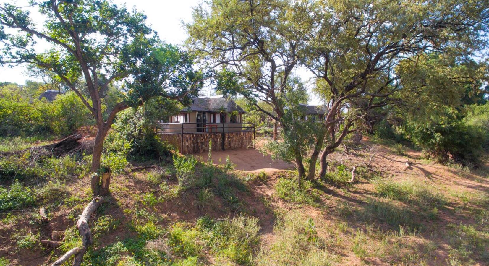 Photo of Baluleni Safari Lodge