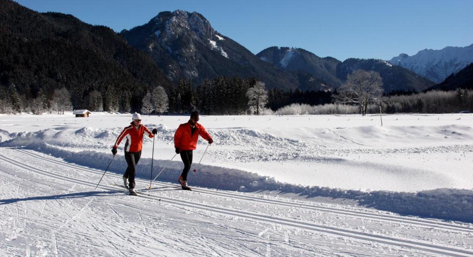 Cross Country Skiing 