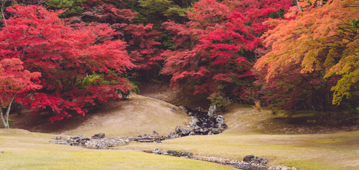 Foto von Iwate